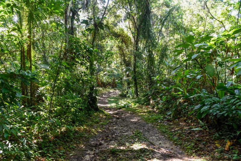2ª Ecotrilha Ambiental no Quilombo Do Abacatal