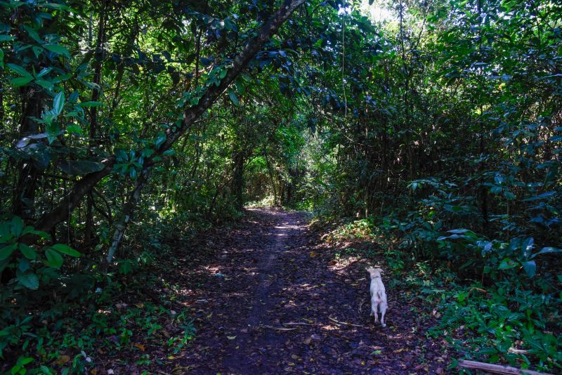 2ª Ecotrilha Ambiental no Quilombo Do Abacatal