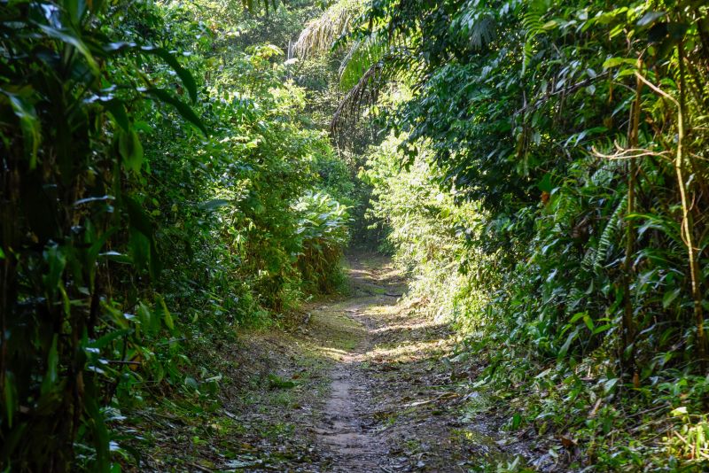 2ª Ecotrilha Ambiental no Quilombo Do Abacatal