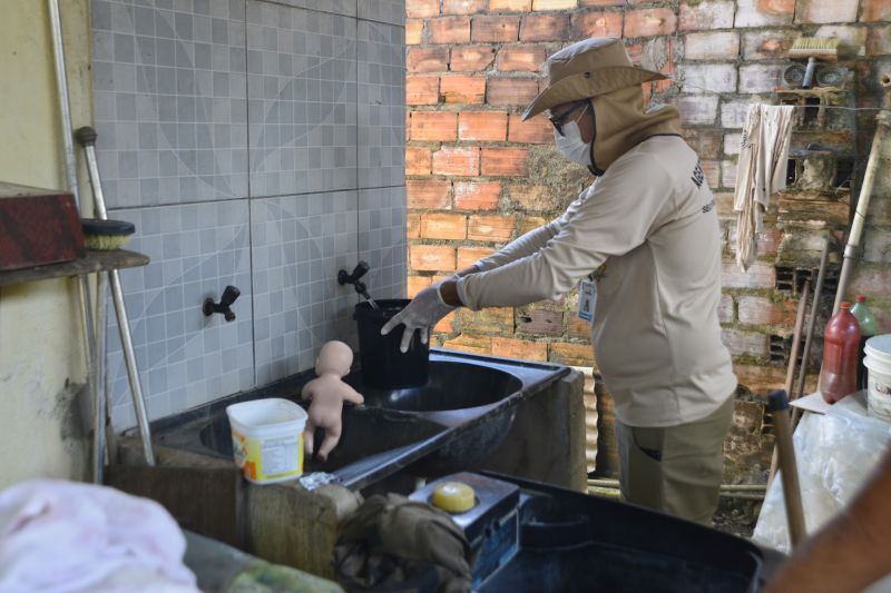 Ação contra Dengue, Zika e Chikungunya