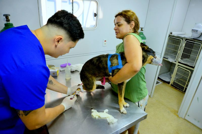 Castramóvel no conjunto residencial Jardim Tropical