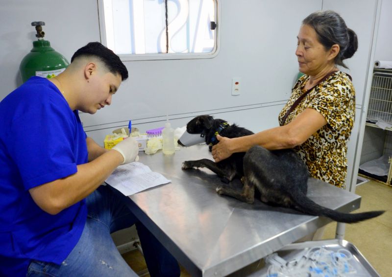 Castramóvel no conjunto residencial Jardim Tropical