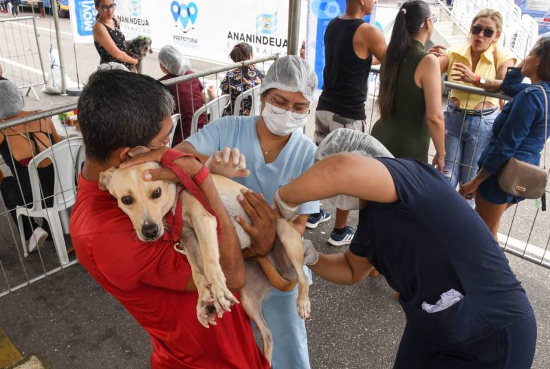 Animais sendo vacinados. 
