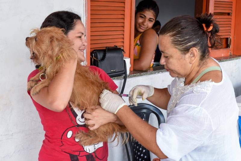 Saúde animal é prioridade.