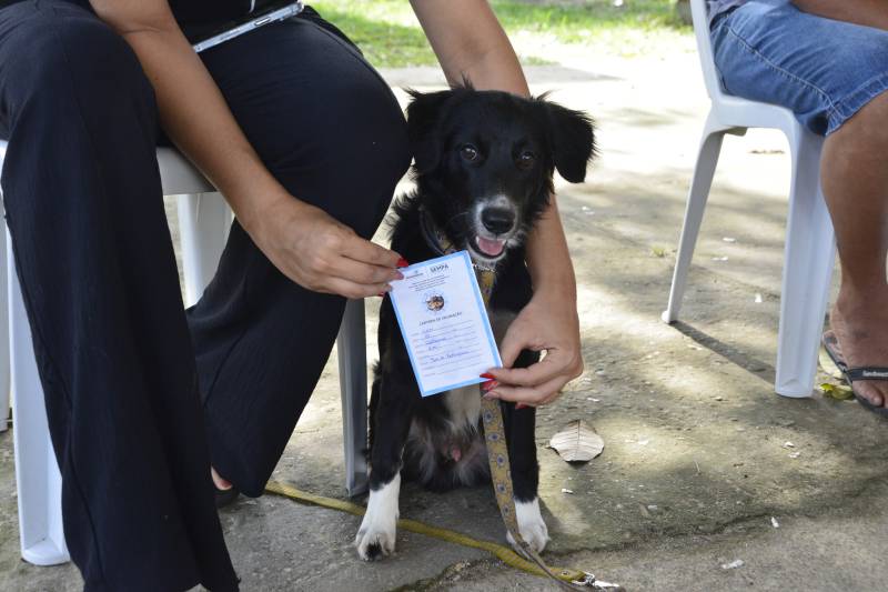 Durante o atendimento veterinários, os animais recebem uma carterinha para acompanhar a saúde dos pets.