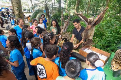 Galeria: Atividades alusiva ao Dia da Árvore no parque Seringal