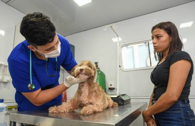notícia: Ação de saúde animal leva serviços para moradores de Ananindeua no Dia do Trabalhador