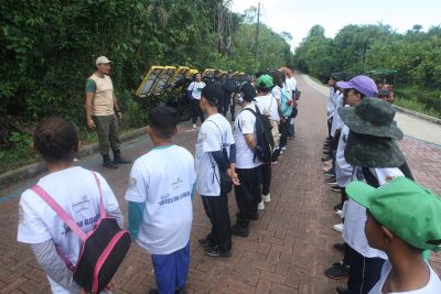 notícia: Alunos do projeto Anjos da Guarda participam de trilha e plantio no Parque do Utinga