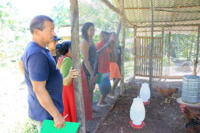 notícia: Curso de Avicultura capacita moradores da comunidade quilombola Abacatal para produção sustentável de galinhas caipiras