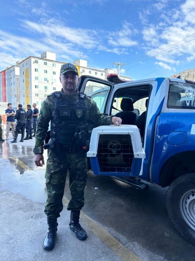 notícia: Polícia Municipal de Ananindeua resgata coruja Murucututu no bairro Maguari