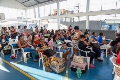 notícia: Ananindeua recebe mais uma edição do Castramóvel 