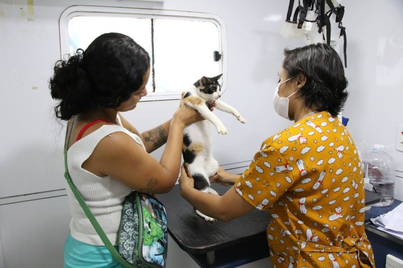 Ação Castramóvel na quadra João Nunes no 40 Horas