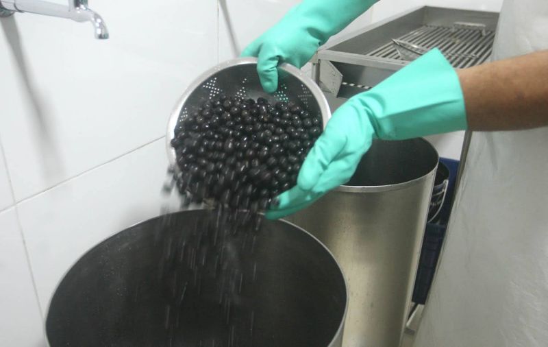 Curso Manipulação de Açaí