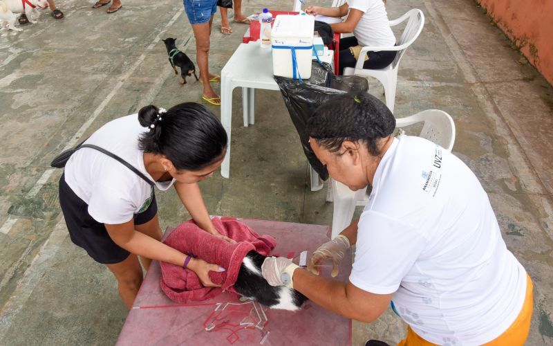 Programa Vet Ananin no bairro do 40 Horas