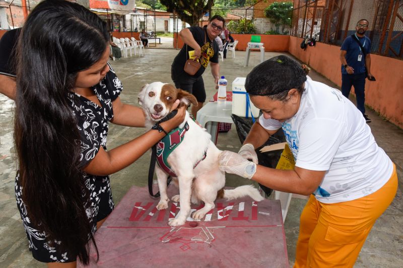 Programa Vet Ananin no bairro do 40 Horas