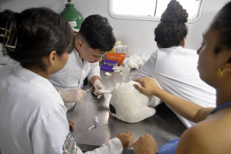 Castramóvel na passagem Iracema, no centro comunitário Cresce Una