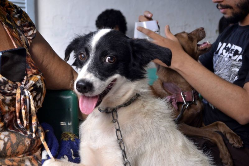 Castramóvel na passagem Iracema, no centro comunitário Cresce Una