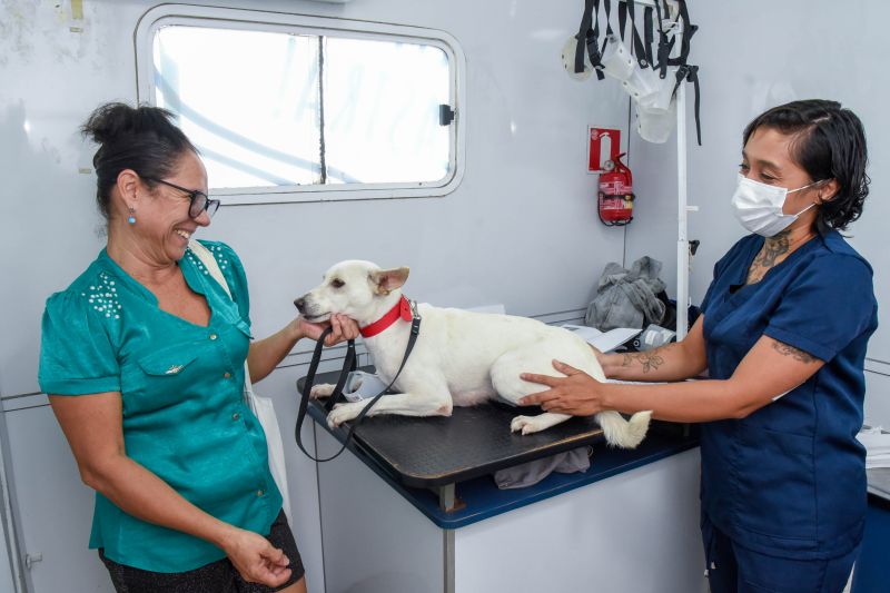 Ação Castramóvel no Guajará l
