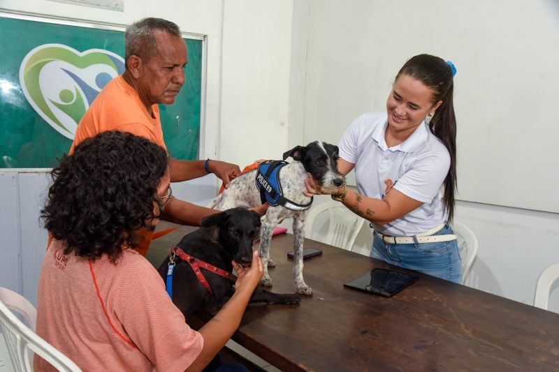 Ação Castramóvel no Guajará l