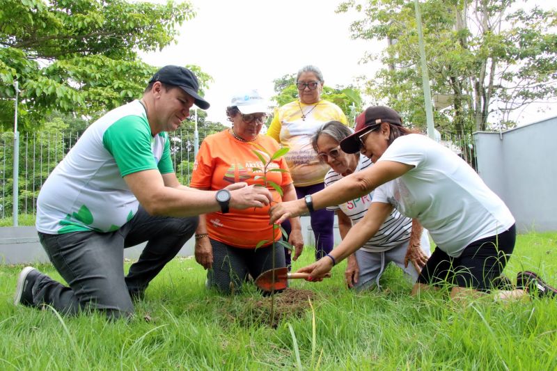 Entrega de mudas e oficina de percepção ambiental no CRAS Estrela