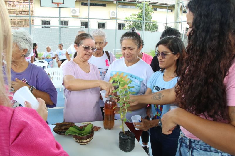 Entrega de mudas e oficina de percepção ambiental no CRAS Estrela