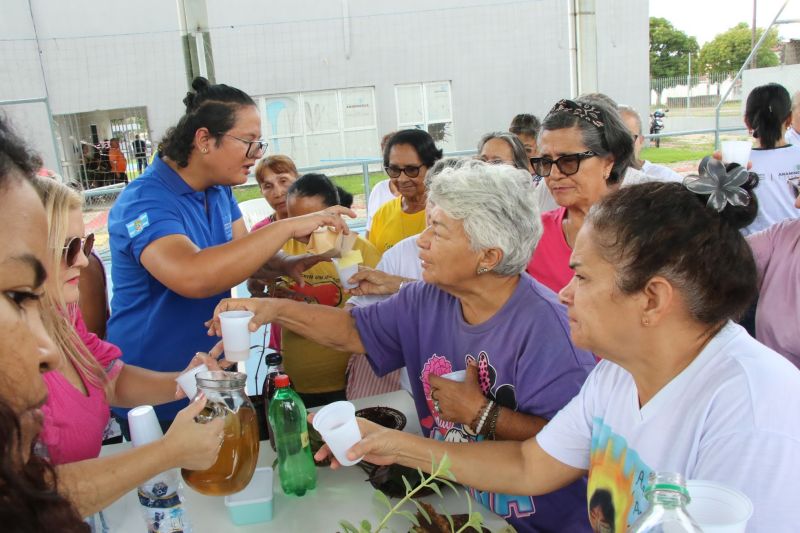 Entrega de mudas e oficina de percepção ambiental no CRAS Estrela
