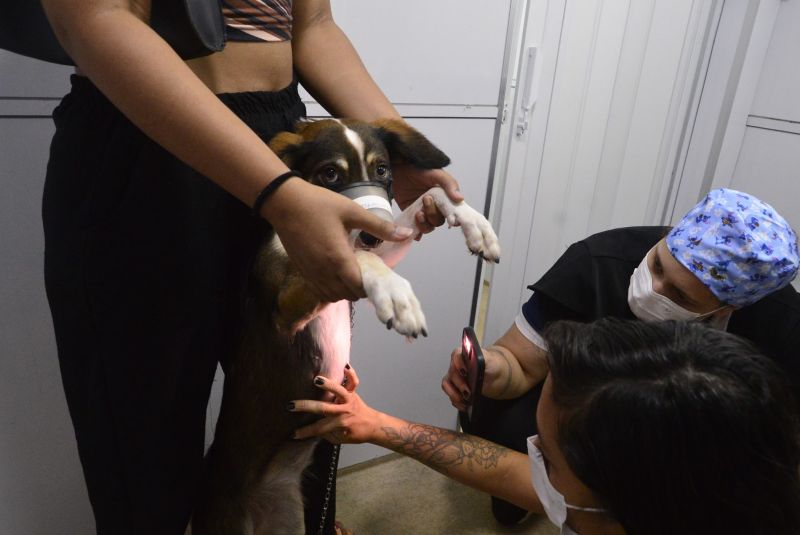 Castramóvel no loteamento Parque Anne