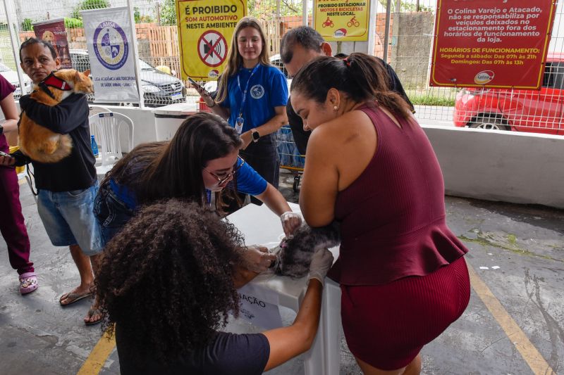 Festival Pet no estacionamento do supermercado Colina