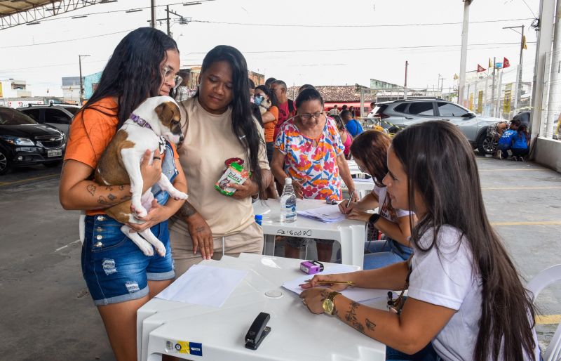 Festival Pet no estacionamento do supermercado Colina
