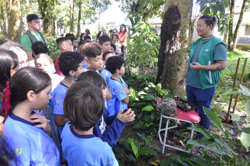 Semana do Meio Ambiente com ações de Educação Ambiental no Parque Seringal