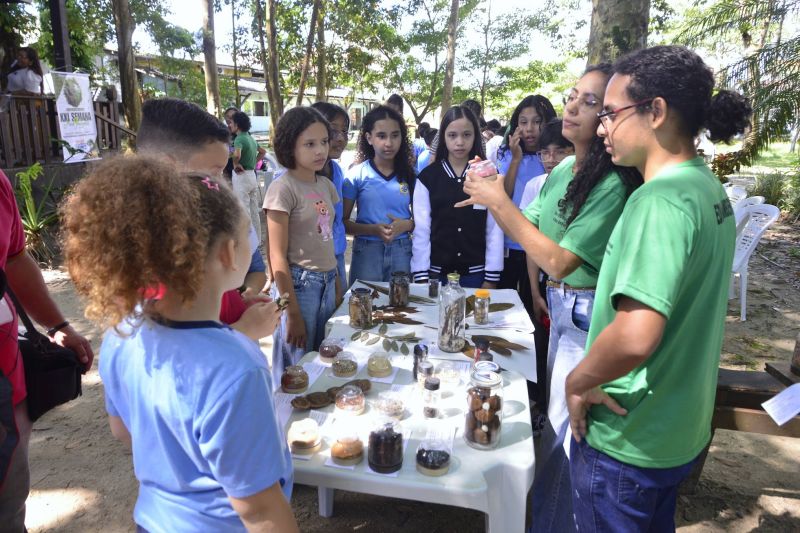 Semana do Meio Ambiente com ações de Educação Ambiental no Parque Seringal