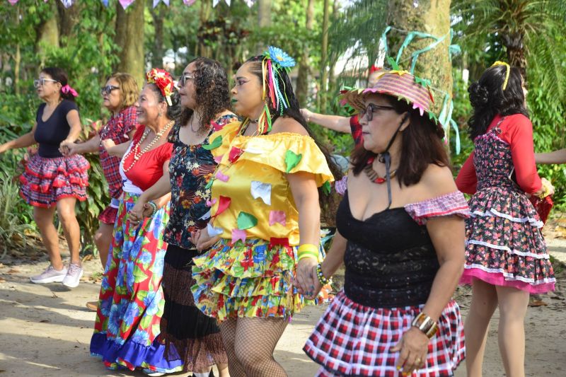 Arraiá do Seringal no Parque Seringal na Cidade Nova VIII