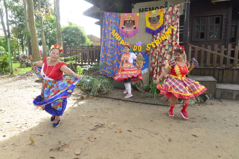Arraiá do Seringal no Parque Seringal na Cidade Nova VIII