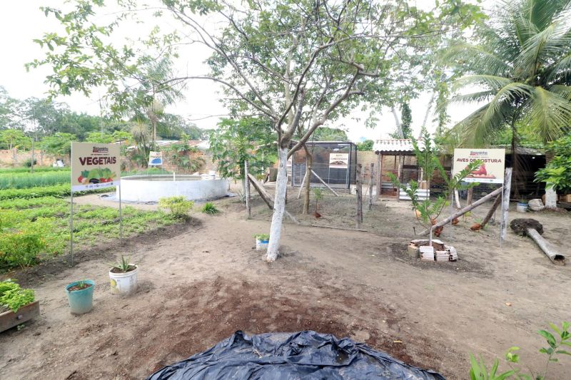 Sisteminha no Curuçambá