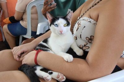 galeria: Ação Castramóvel na quadra João Nunes no 40 Horas