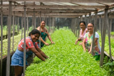 notícia: Ananindeua adere a pacto global por alimentação sustentável e reforça ações climáticas
