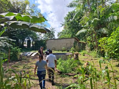 notícia: Segunda unidade do Sisteminha avança no Curuçambá e fortalece a participação da juventude na agricultura familiar